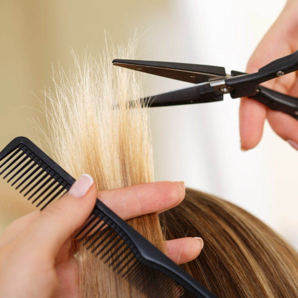 Dry Cut Only at beautybymarjorieanne in Tracy, CA