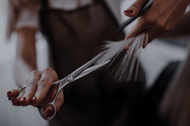 Womens Haircut