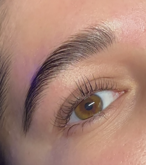 Eye Brow Tint Only