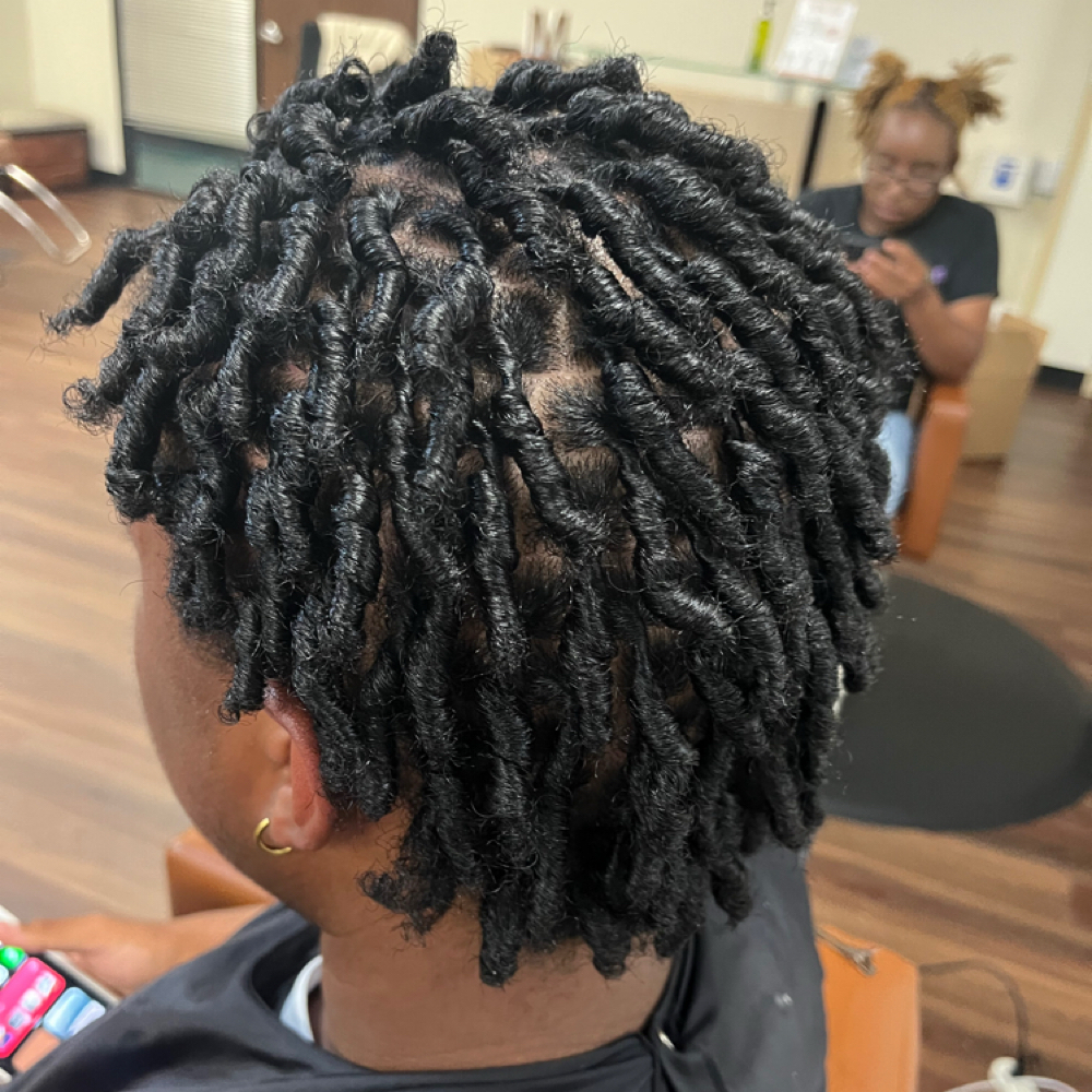 The Alchemist (seedling) package at Alchemy of Locs LLC in Humble, TX