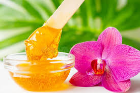 Lip Wax