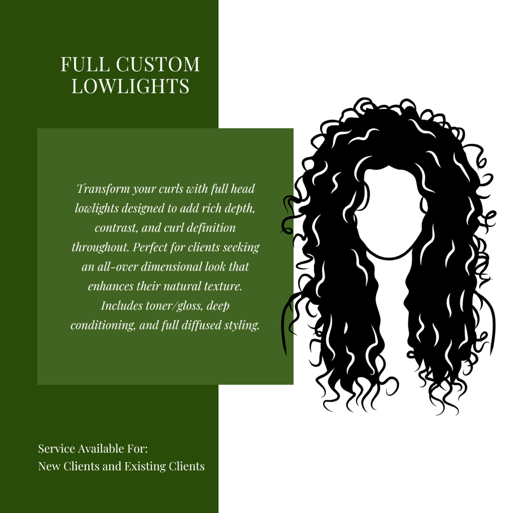 Full Head Custom Lowlights