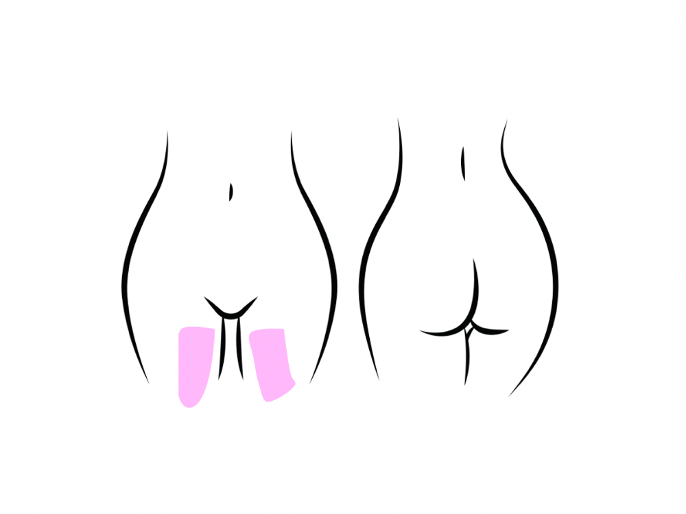 Inner Thigh