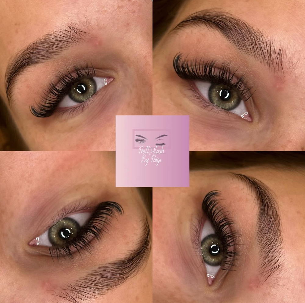 Dramatic Classic Lashes