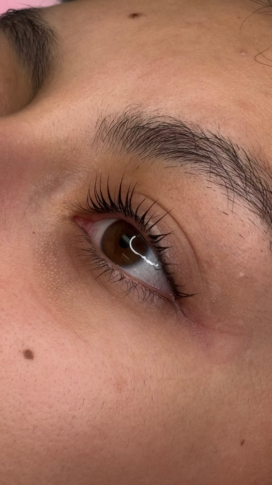 Lash Lift