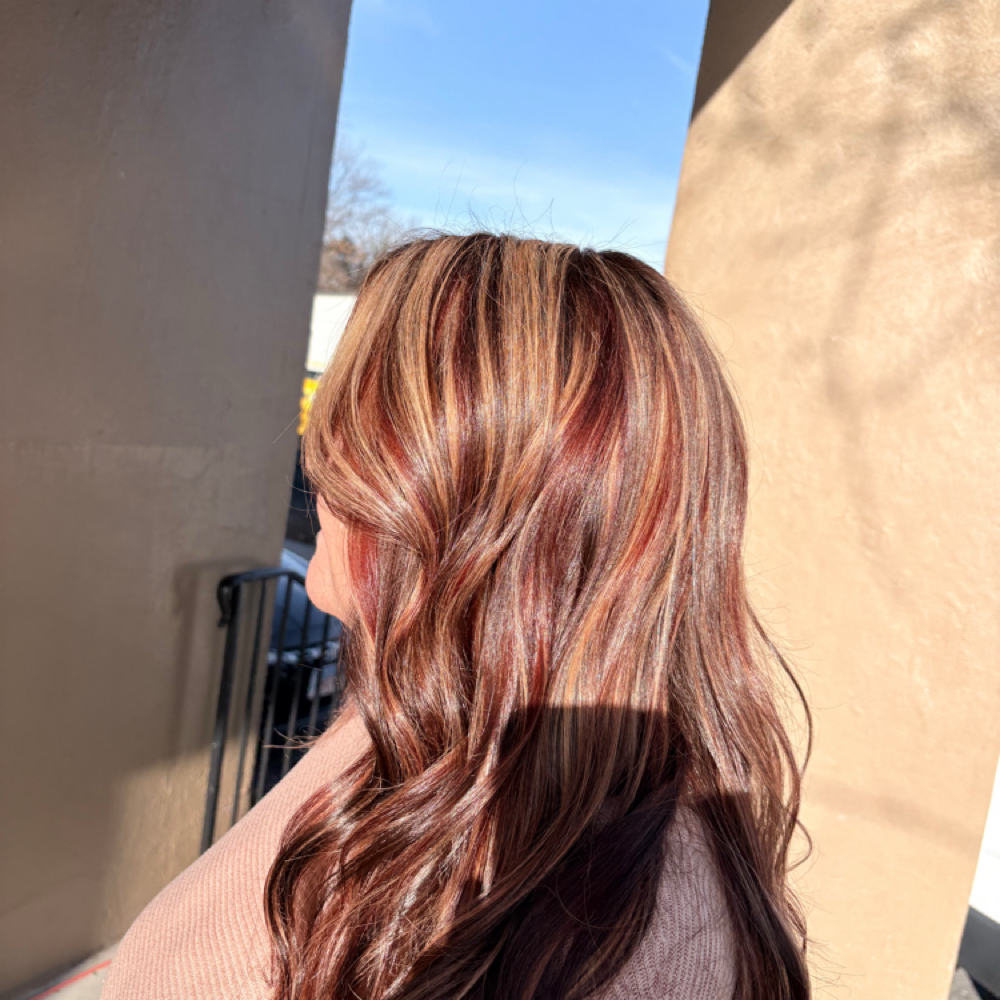 Custom/Transformation Color at Elevated Beauty LLC in Roanoke, VA