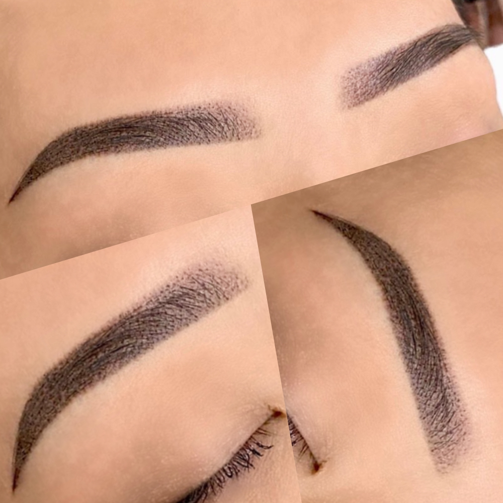 Brow Touch Up (4-6weeks)