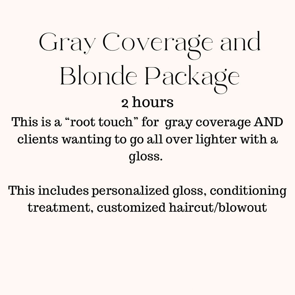 Gray Coverage and Blonde Package at Hair By Melanie in Conshohocken, PA