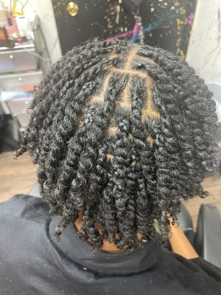 2 Strand Twist