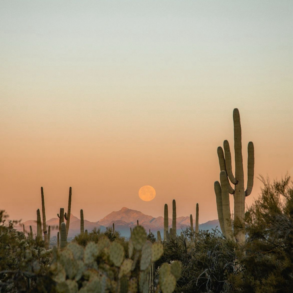 The Painted Desert Ritual at SKINXALICIA LLC in Wichita, KS