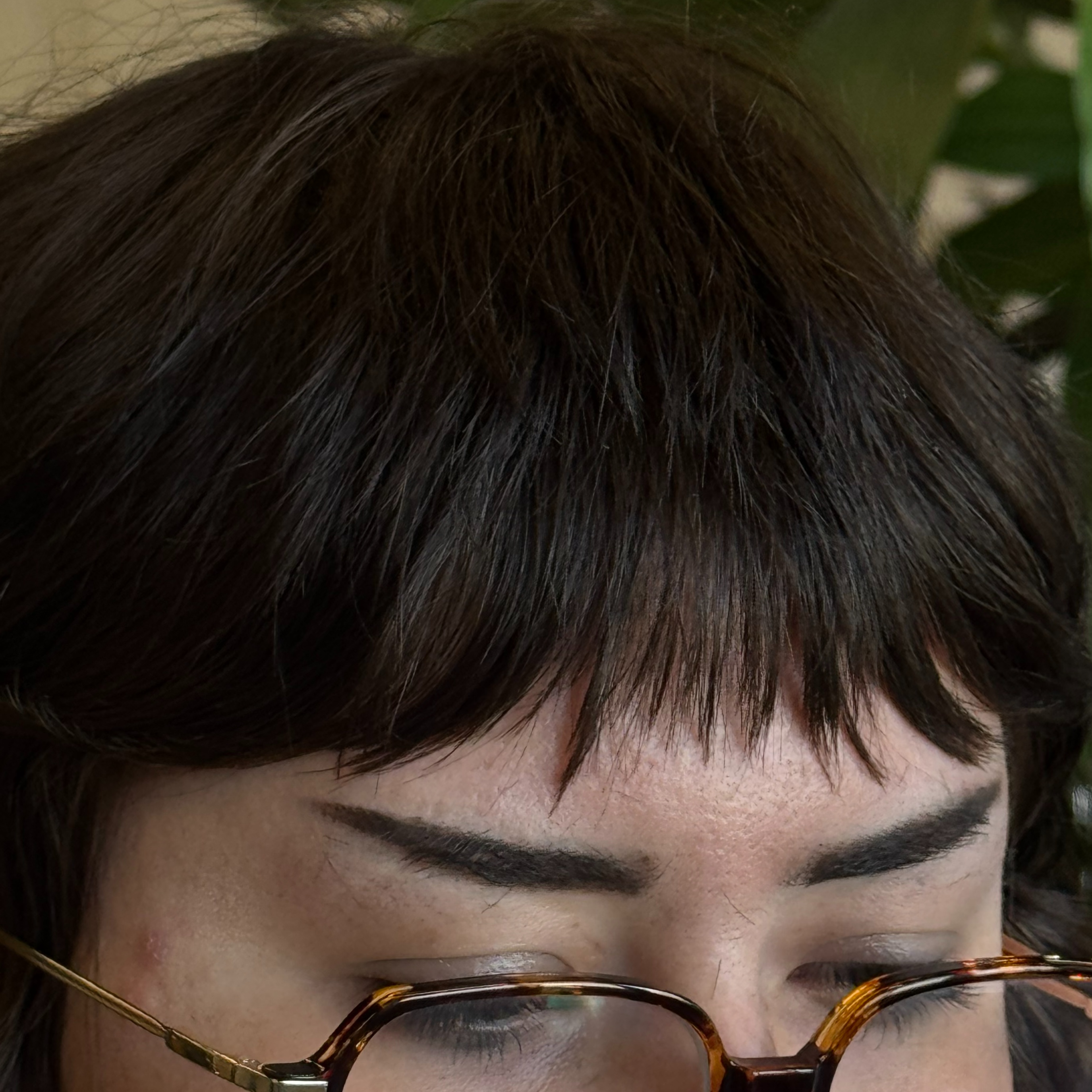 Bang Trim at Sappho Snips in Saint Petersburg, FL