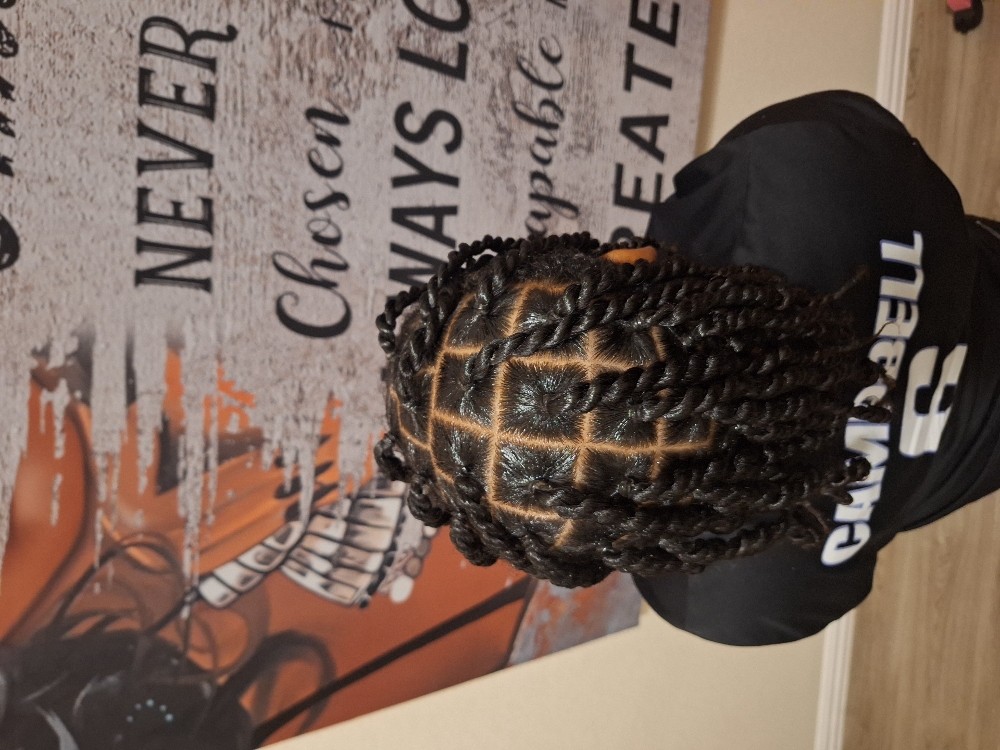 2 Strands Twist