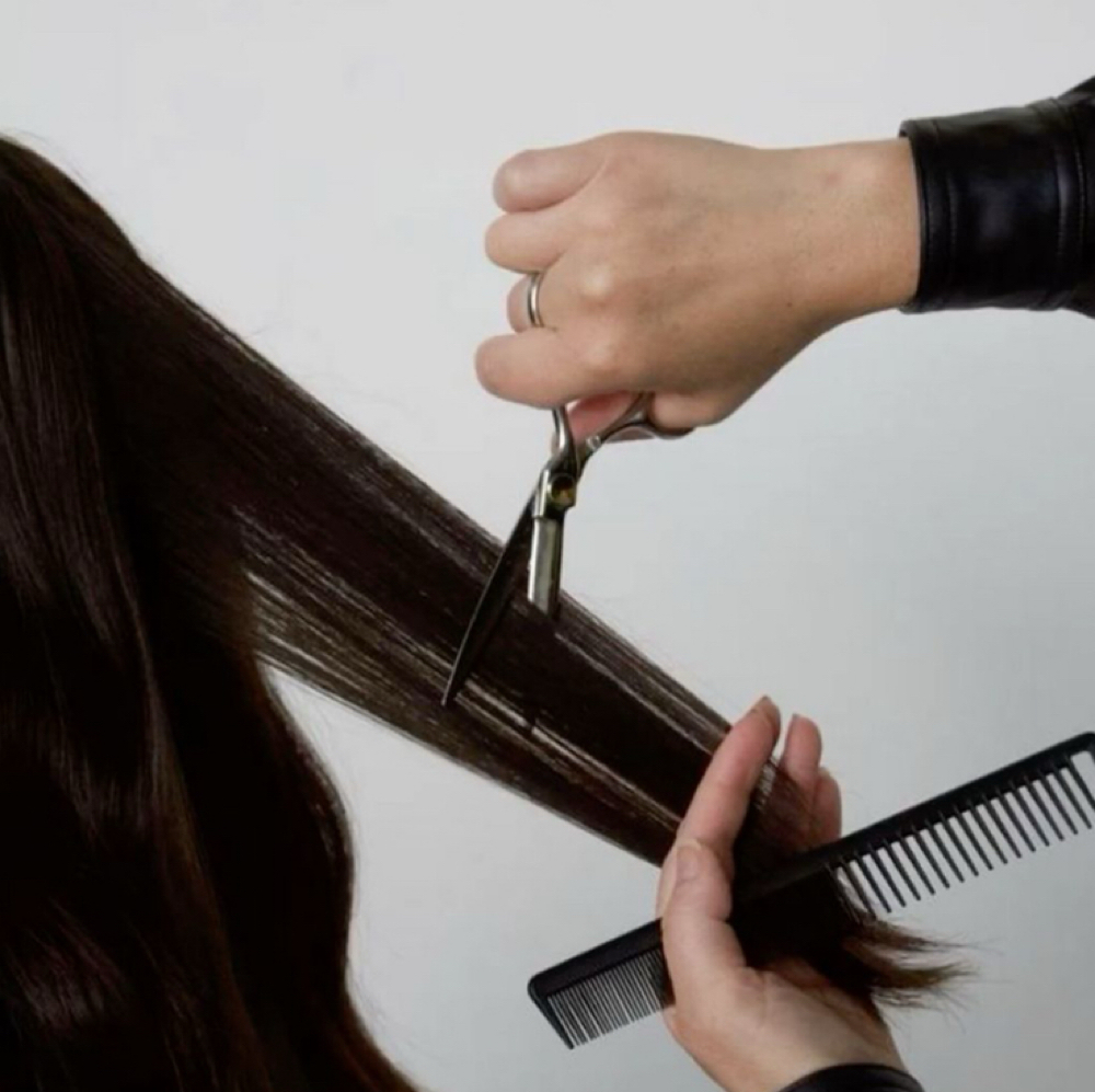 Dry Hair Cut at Madison Barnes in Sevierville, TN