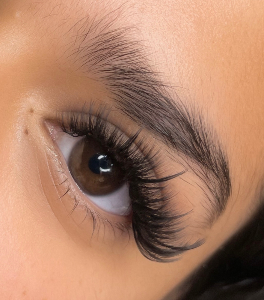 Long Wispy Full Set