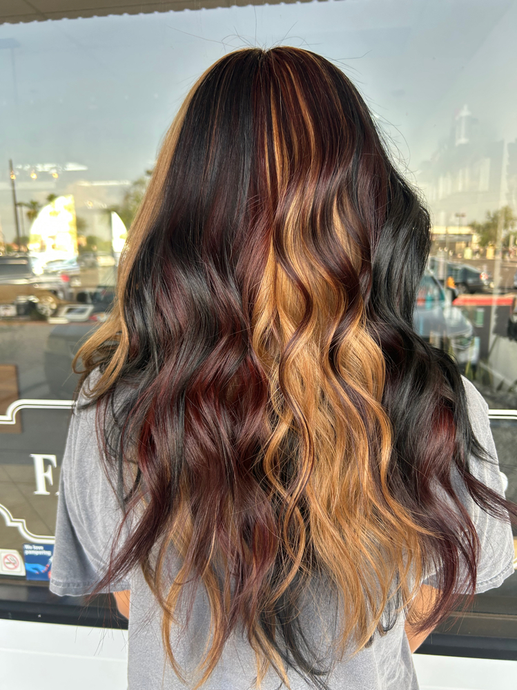 Calico Hair at Black Comb Society in Peoria, AZ