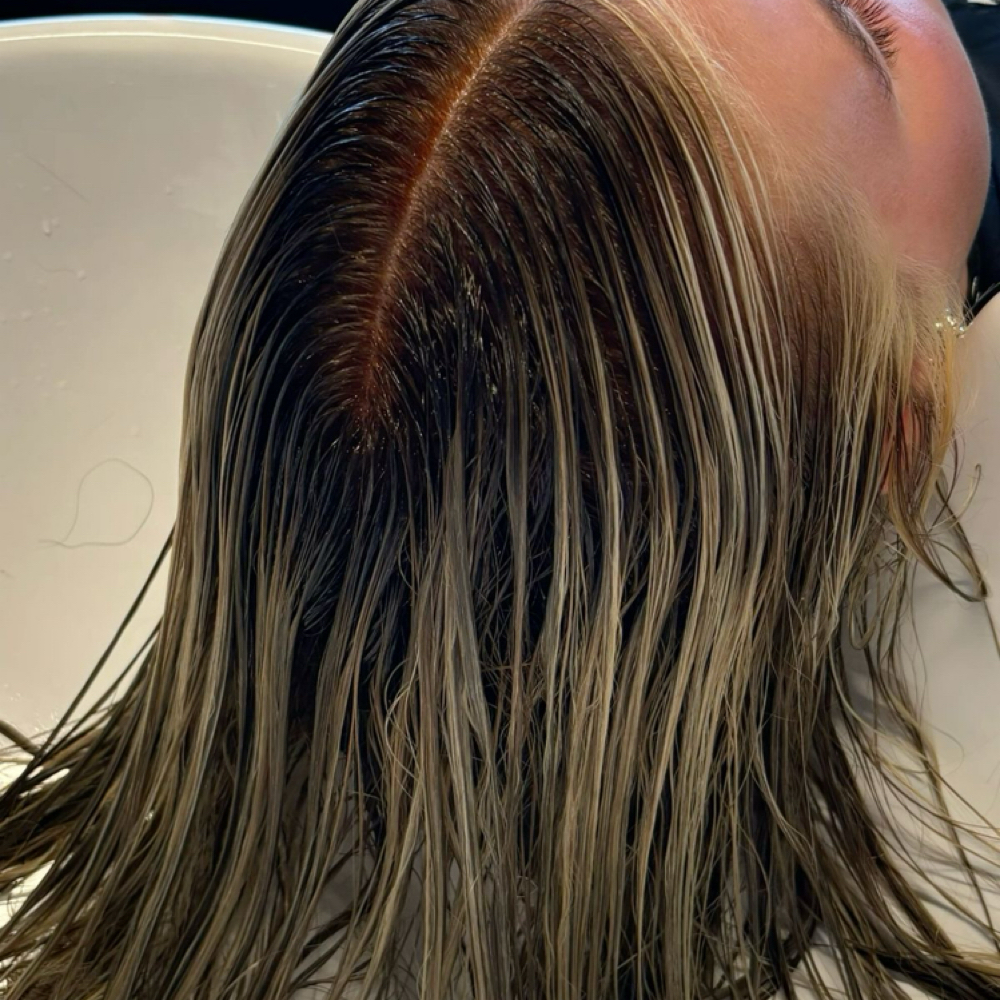 Add-On Root Melt/Shadow at thehairbayyy in broomfield, CO
