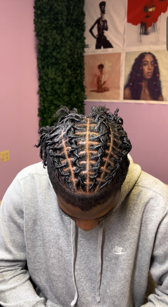 Starter Locs
