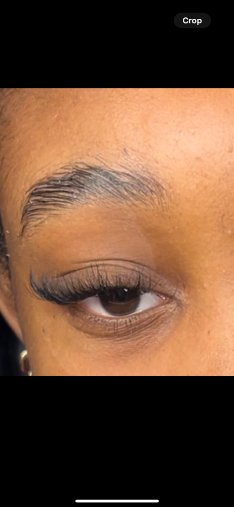 Lash Fill Hybrid at Valaijiah Hamilton in Janesville, WI