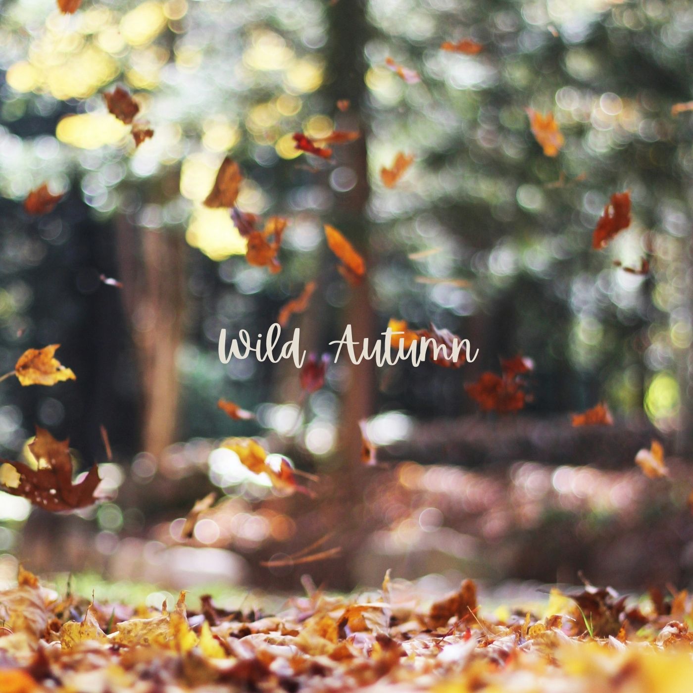 Wild Autumn Facial