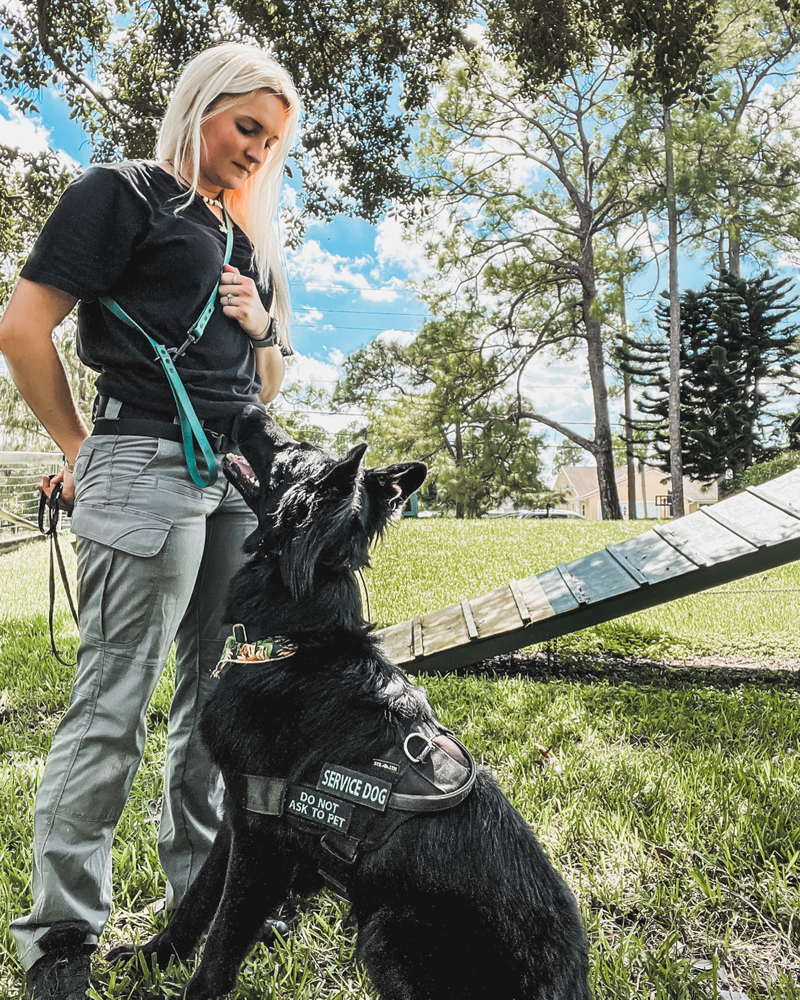 AKC Trick Dog Training