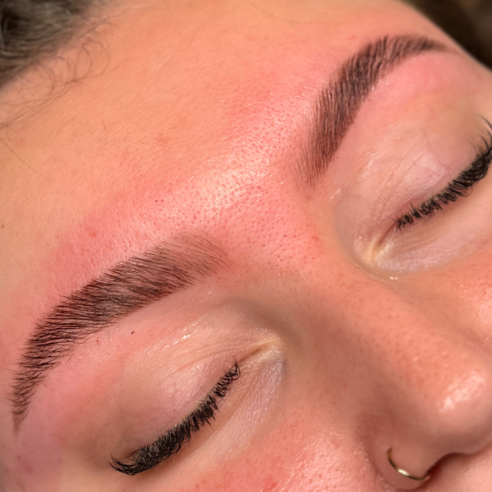Just The Lami (Brow Lami) at Ciao Bella Lashes in Arlington, NY
