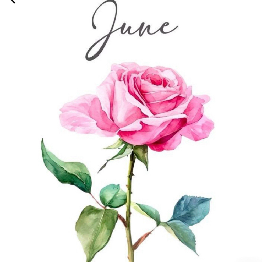 June Signature Facial $25 Savings at Abella Day Spa in Kent, WA