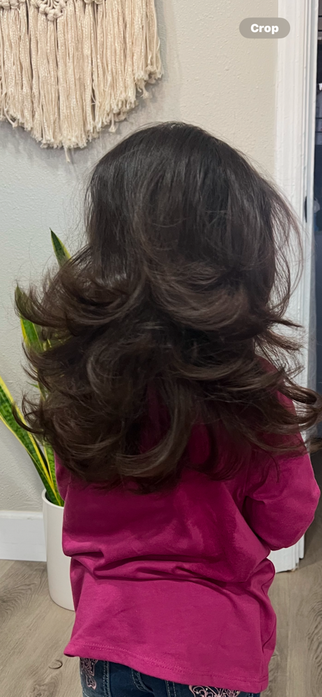 Wash BlowDry Style