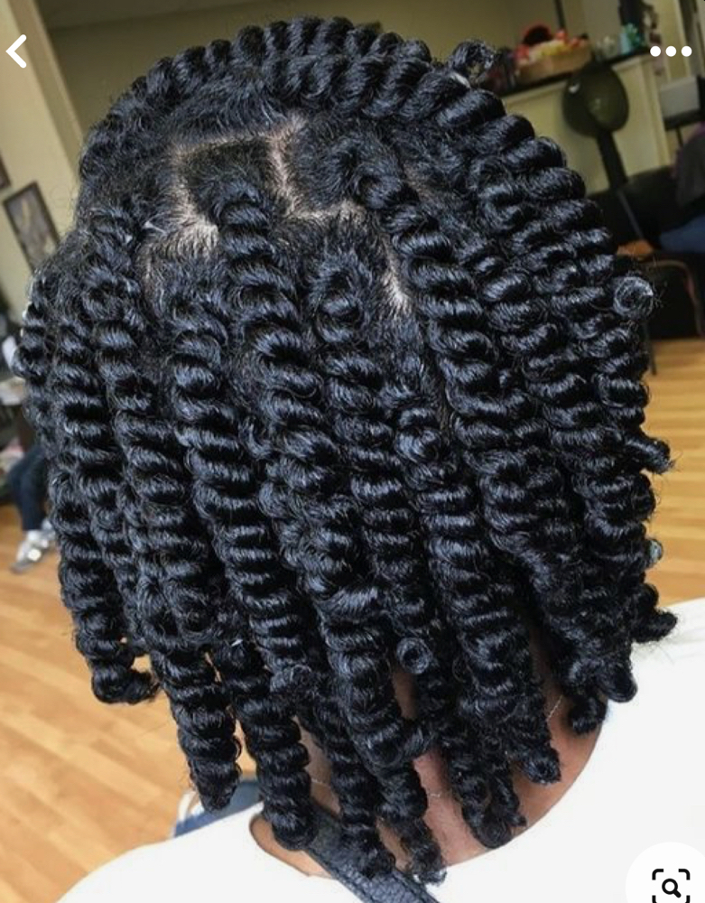 Two Strand Twist