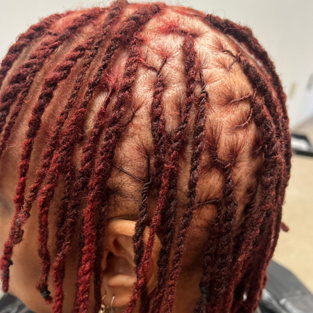 Retwist And Style W Color Add On