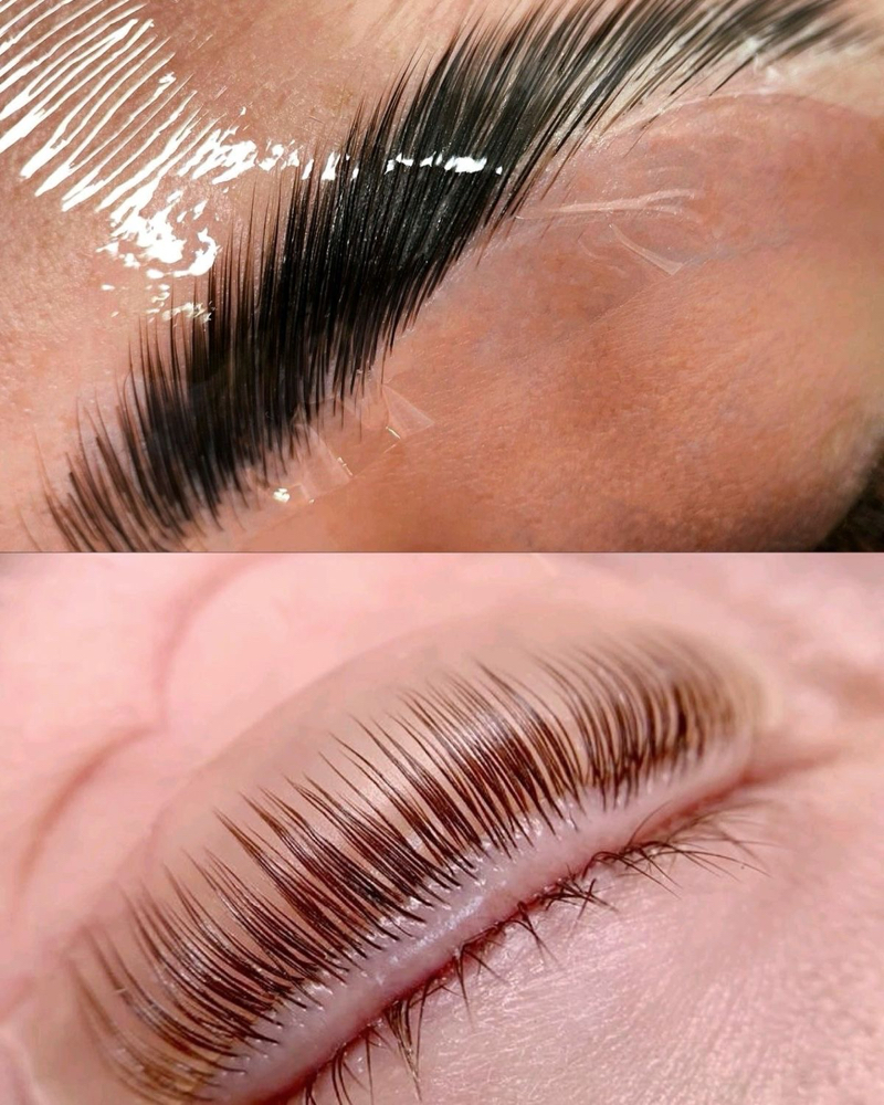 Brow Lami & Lash Lift (NO TINT) at True Skin By Lis in Ventura, CA