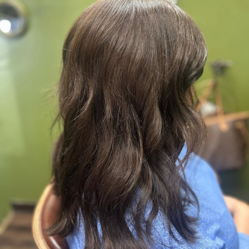 Full Color +blow dry style at Alicia Ann & SueAnna Marie Hair in Southgate, MI