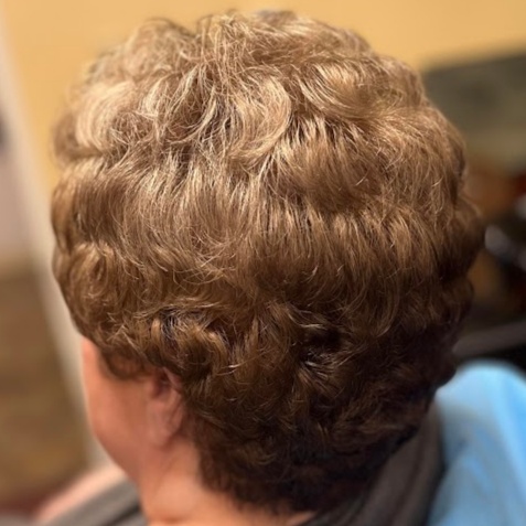 Wash & Set (curls or rollers) at Ari's Hair Alchemy in Fowlerville, MI