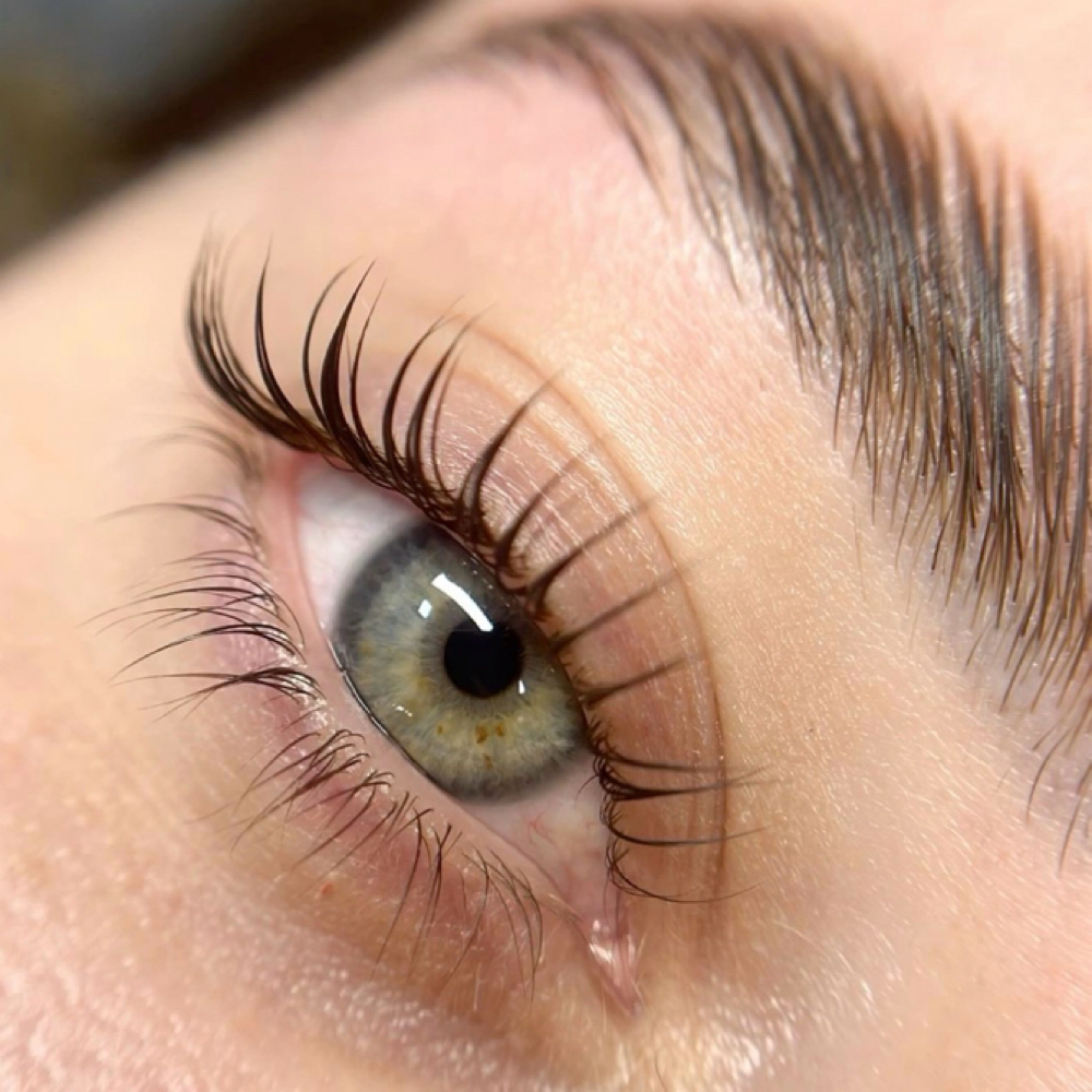 Korean Lash Lift And Tint at Moments Made By Maddie in Oakmont, PA