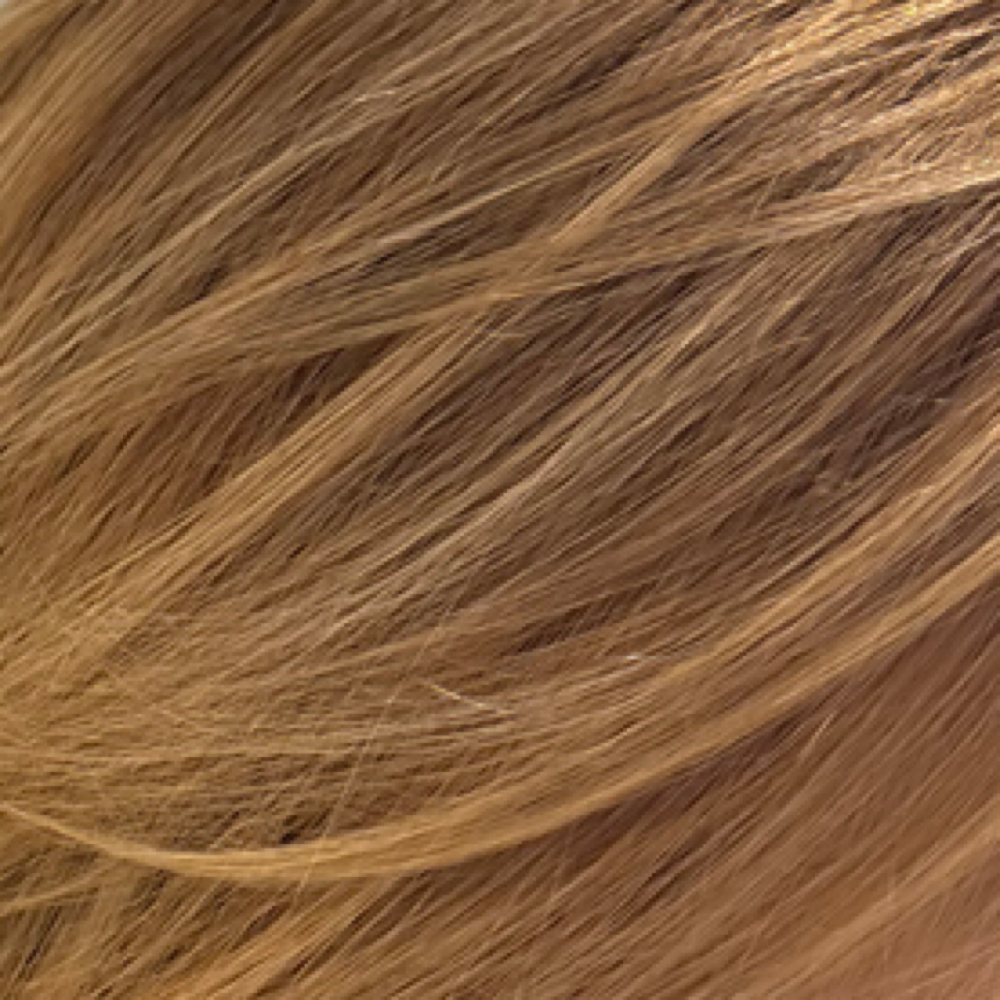 Shadow Root And Tone at Maven & Mane Salon in appointment will be held, FL