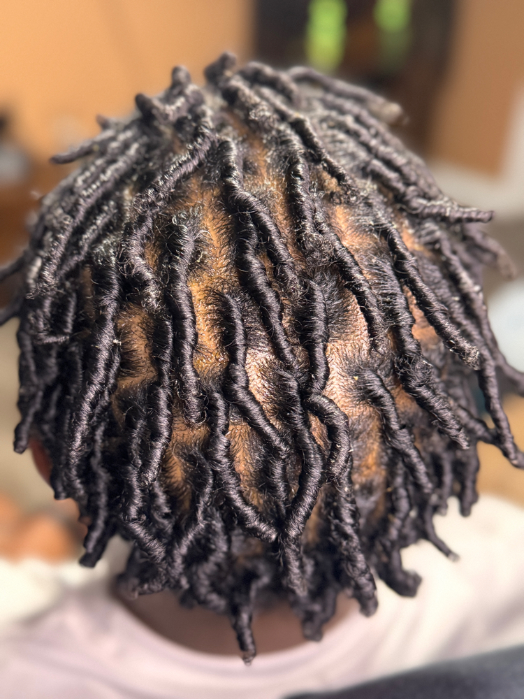 STARTER LOCS ADULTS (Full Head)