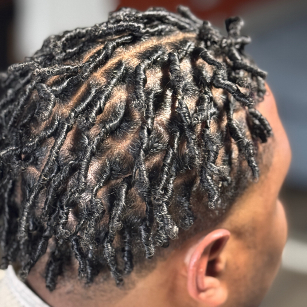 ADULT STARTER LOCS at Root Rich Hair in Titusville, FL