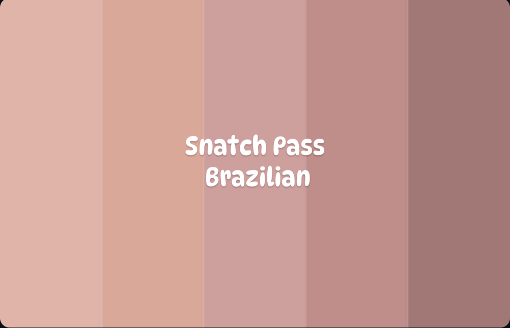 Snatch Pass For Brazilian