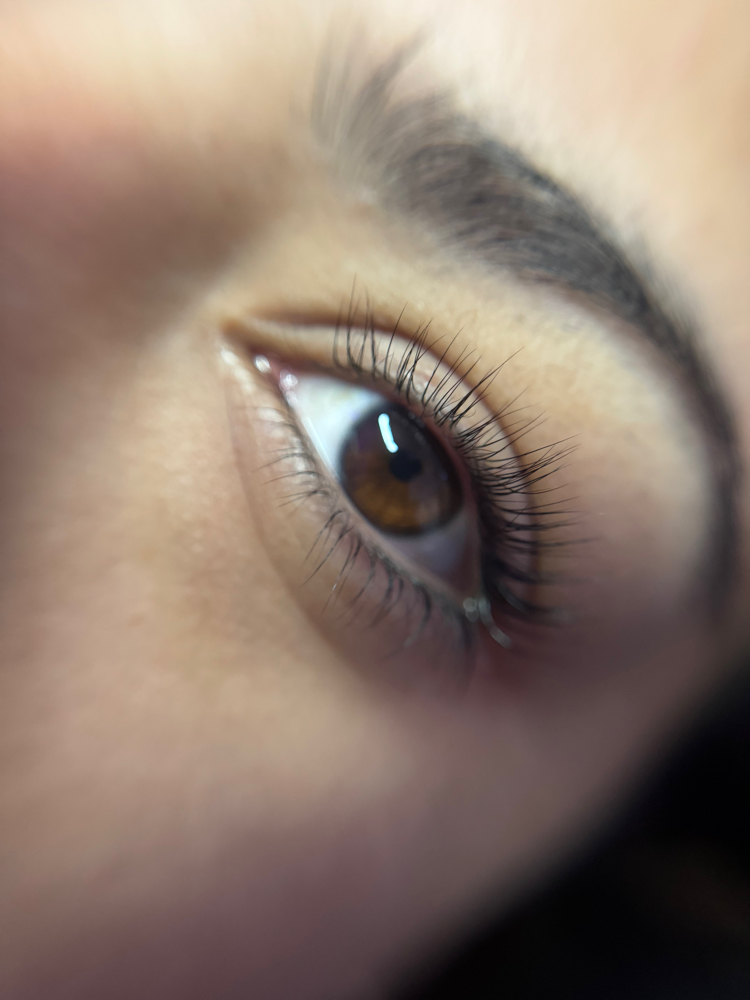 Lash Lift