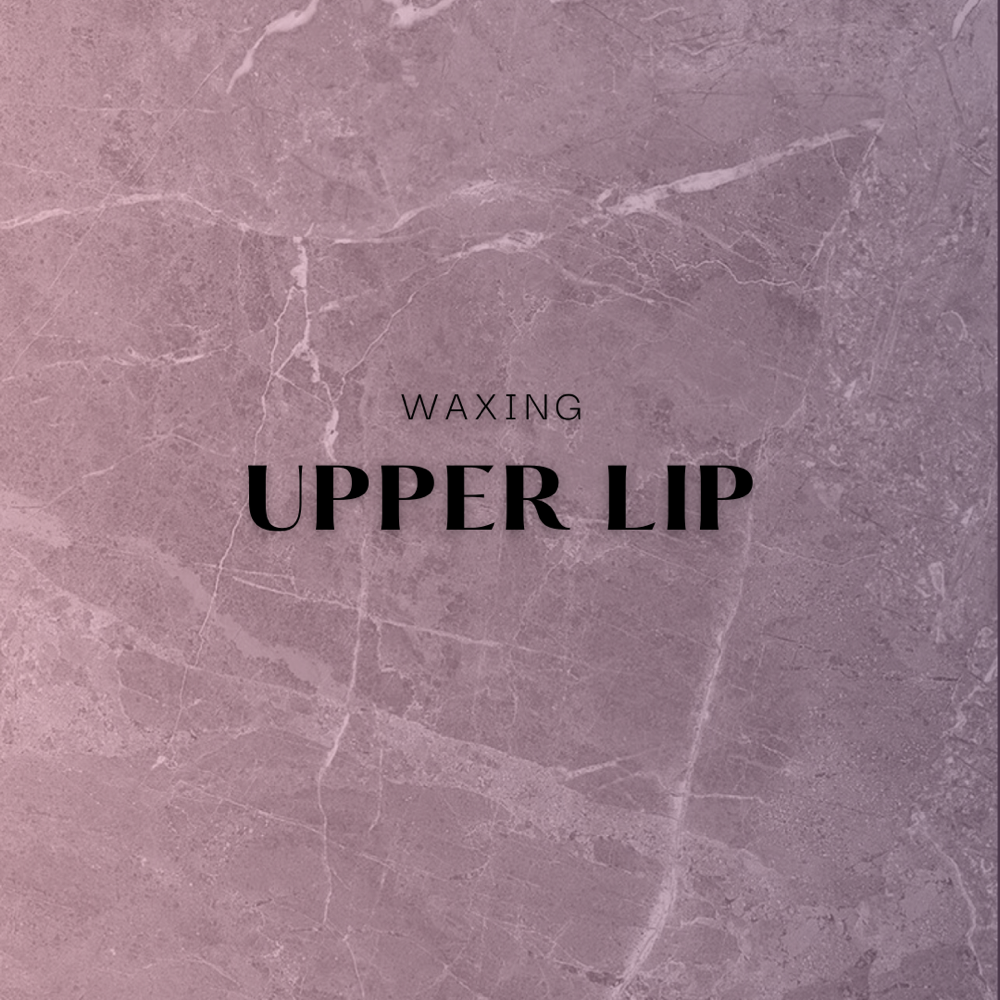 Wax - (𝘓𝘪𝘱)