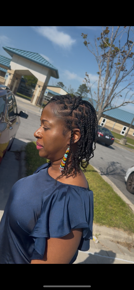 Mini Twists (w/ your natural hair)