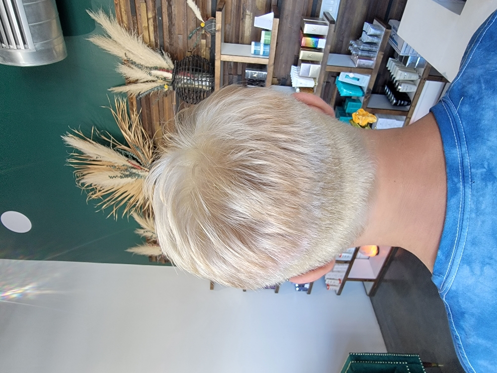 Mens Cut And Color