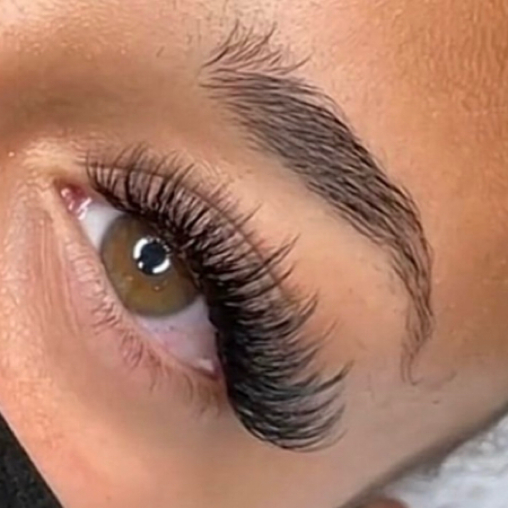 2 Week Lash Fill at De’Amor Lashes in El Paso, TX