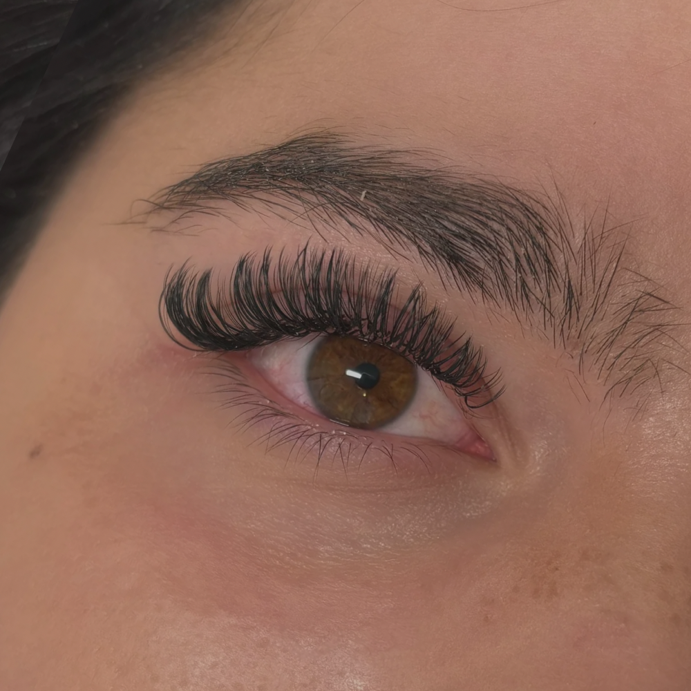 Hybrid 3 Week Fill
