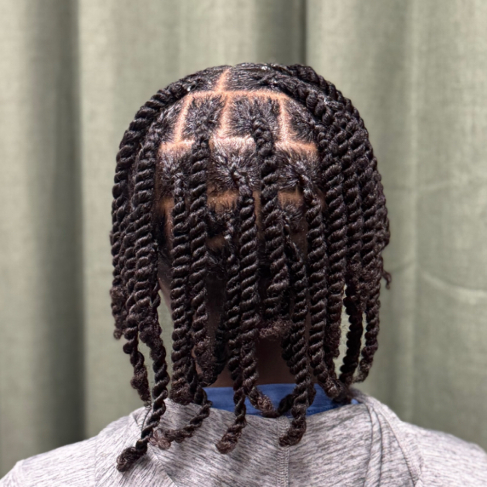 2 Strand Twist on Natural Hair at Cutz and Effects By Met in Flowood, MS