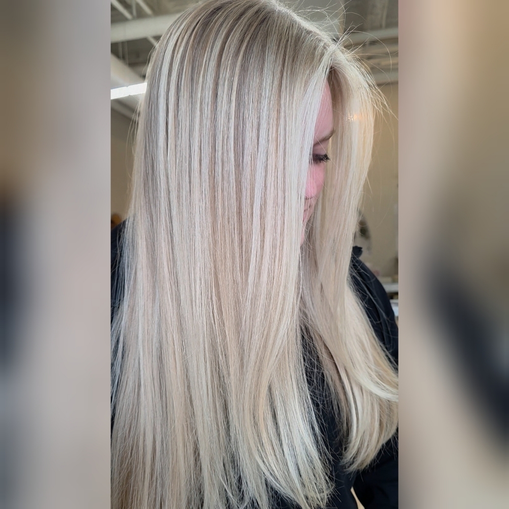 Tier 4 Ultimate Transformation at Meg's Mane Squeeze in Newark, DE