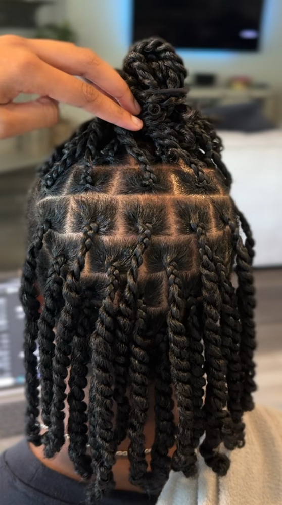 Natural Two-Strand Twist (S/M) at Crowned Culture Hair Bar in Duncanville, TX