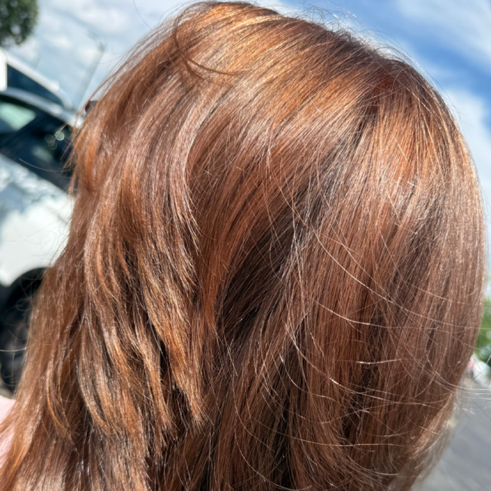 Gloss Toner at Mackenzie Elise (ME) Salon in Bentonville, AR