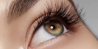 Lash Tint