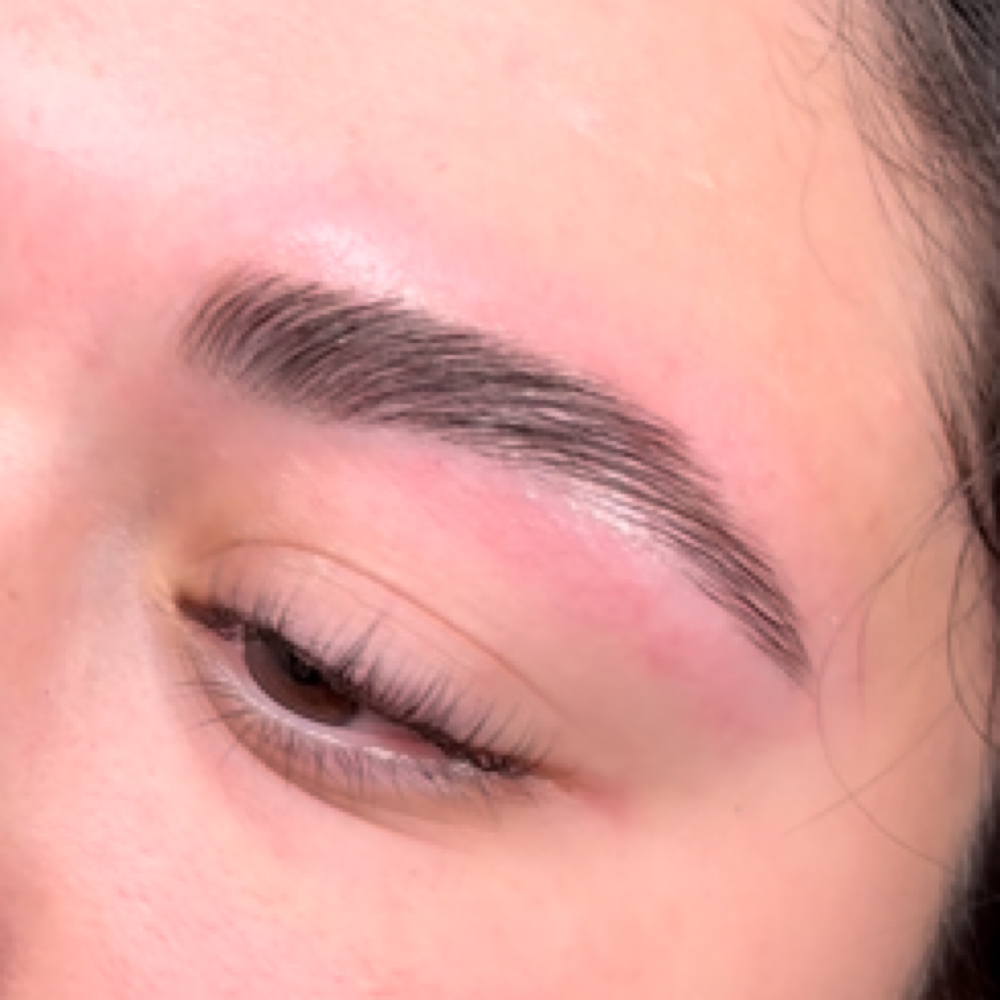 Brow Lamination (NO TINT) at Ashley Ann Allure in Tampa, FL