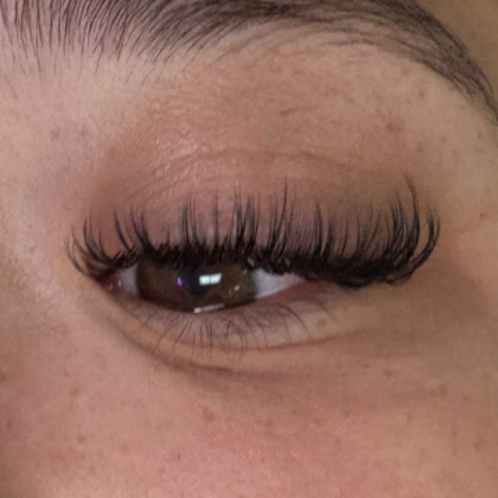 1week fill at Ms.Lashh in Ontario, CA